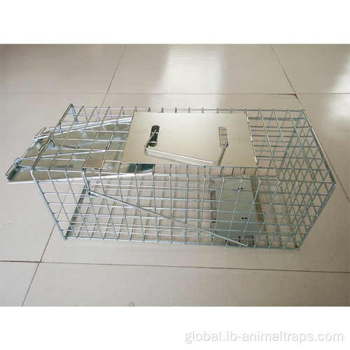 Medium Animal Cage Trap Humane live catch animal trap cage Manufactory